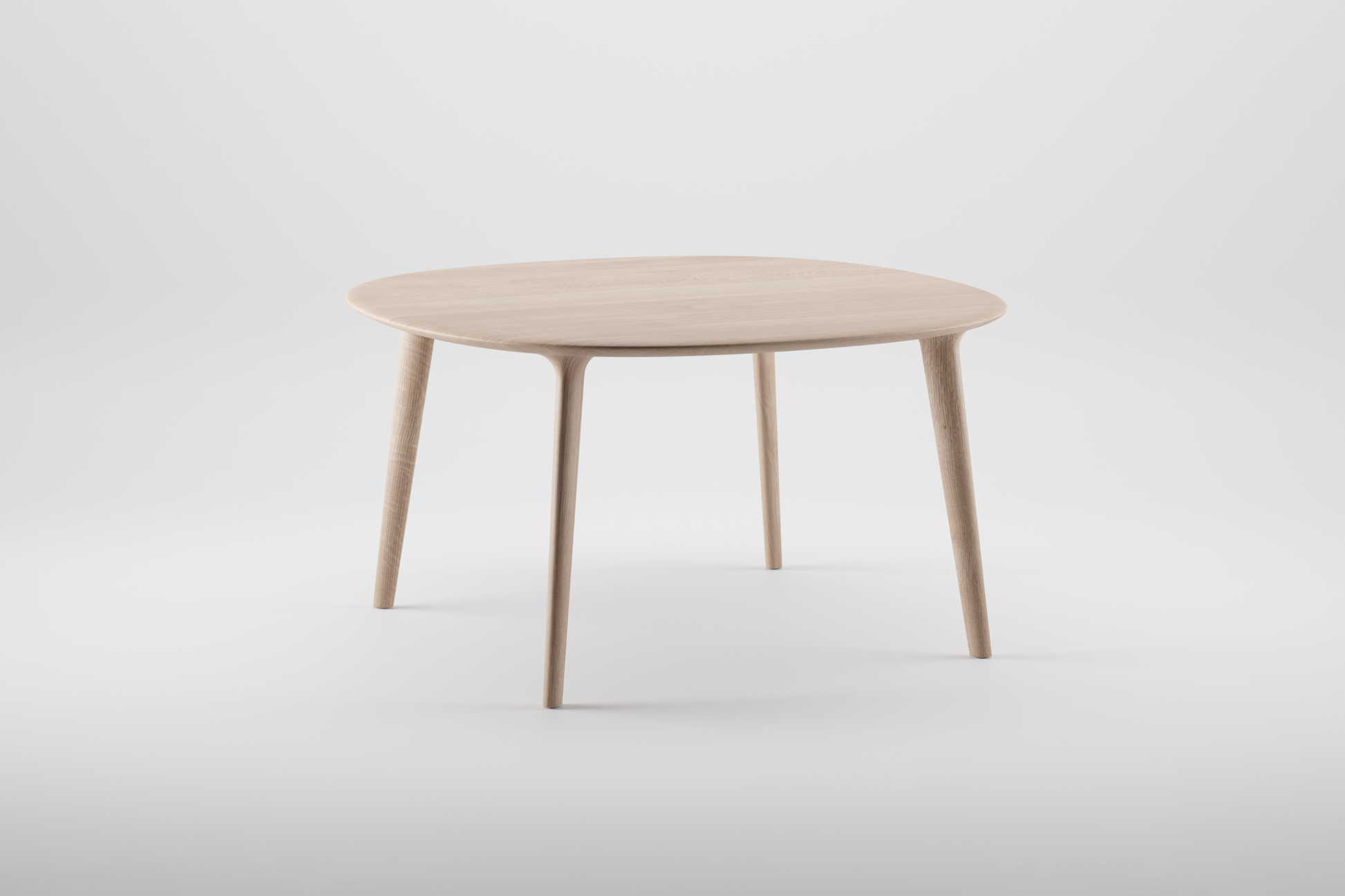 Luc round table - image 5